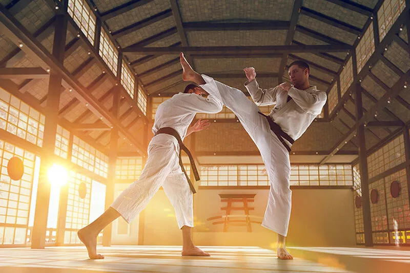 Võ sinh muốn lên đai Karate cần rèn luyện kỹ thuật cơ bản, bài quyền, đối luyện và thái độ kỷ luật.