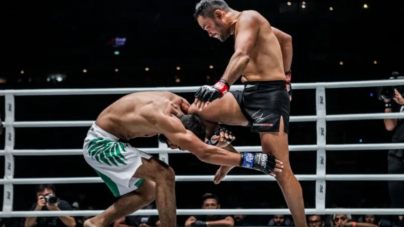 Kỹ thuật MMA gồm đánh đứng, vật ngã, clinch và khóa siết