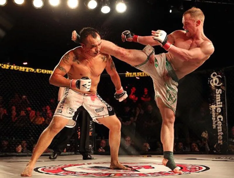 MMA là sự kết hợp linh hoạt giữa nhiều môn võ đối kháng